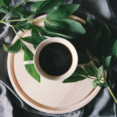 Cup of coffee and it's plant